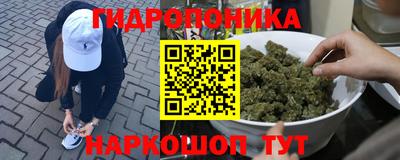 прущие крисы Нарткала