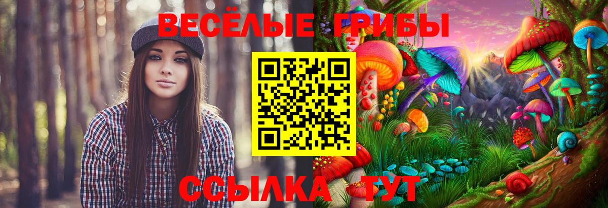 Галлюциногенные грибы прущие грибы  Вход с VPN  Галлюциногенные грибы мухоморы  Тольятти 